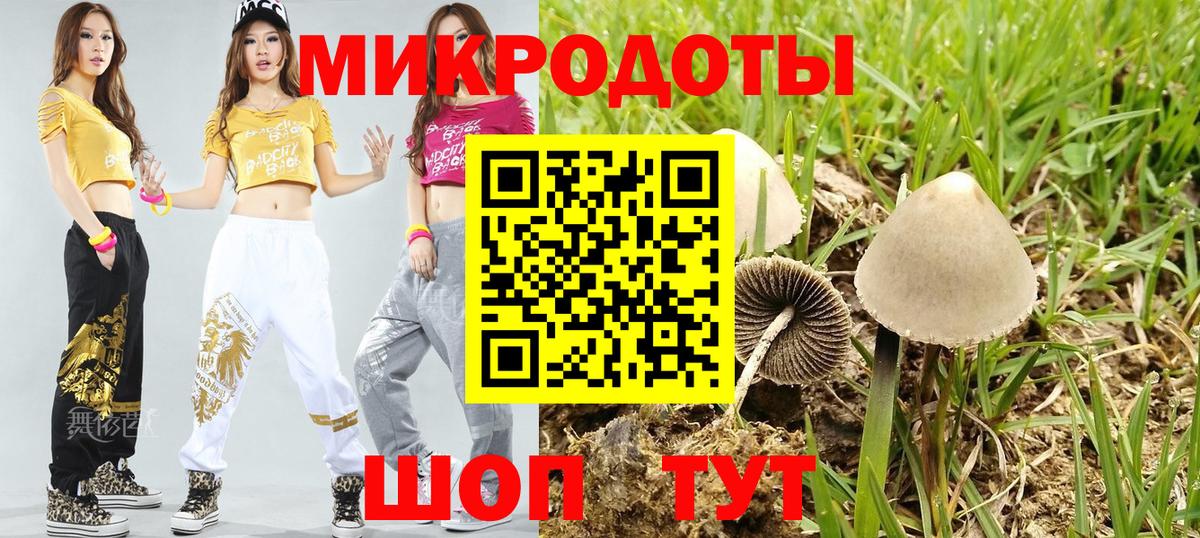 Псилоцибиновые грибы Psilocybine cubensis  Вход с VPN  Владимир 