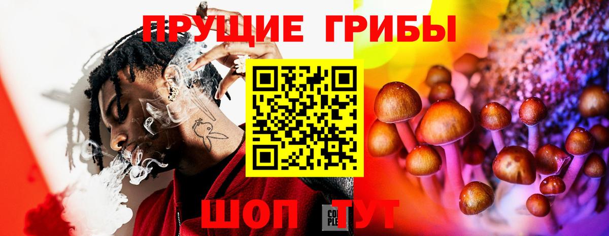 Галлюциногенные грибы GOLDEN TEACHER Владимир